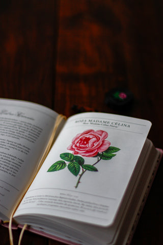 Planner Madamy 2026 Lady in Red