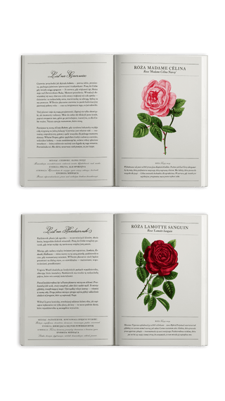 Planner Madamy 2026 Femme