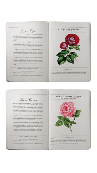 Planner Madamy 2026 Lady in Red