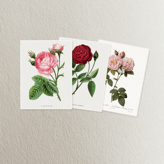 Pakiet ZJAWISKOWA BOGINI